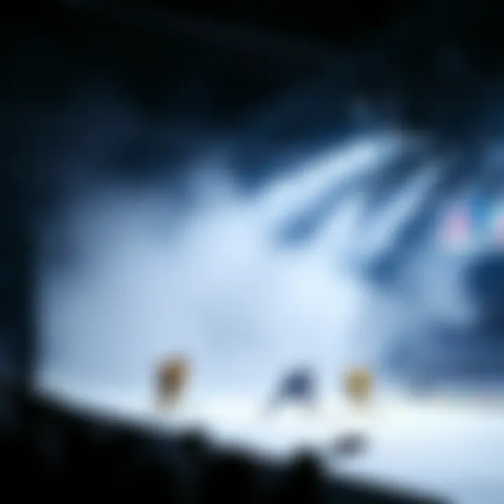 Magnificent NHL 미래 예측: 스포츠 베팅의 새로운 지평선